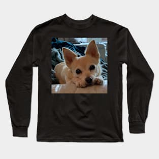 Chihuahua Fizz Long Sleeve T-Shirt